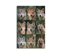 XKUGA Poster décoratif sur toile avec guide des espèces de loup et animaux de la jungle - Affiche murale moderne pour chambre à coucher - 50 x 75 cm
