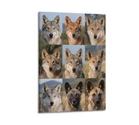 XKUGA Poster décoratif sur toile avec guide des espèces de loup et animaux de la jungle, affiches murales et impression d'art moderne pour chambre à coucher (60 x 90 cm)