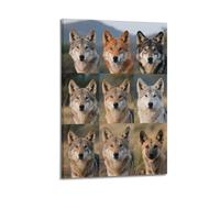XKUGA Poster décoratif sur toile avec guide des espèces de loup et animaux de la jungle, affiches murales et impression d'art moderne pour chambre à coucher (60 x 90 cm)