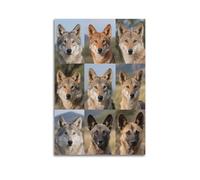 XKUGA Poster décoratif sur toile avec guide des espèces de loup - Poster décoratif sur toile - Décoration murale moderne pour chambre à coucher - 30 x 45 cm