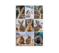 XKUGA Poster décoratif sur toile représentant un guide des espèces de lapin, affiche d'art moderne pour chambre à coucher (40 x 60 cm)