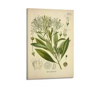 XKUGA Poster floral vintage du XIXe siècle - Anatomie botanique - Poster décoratif sur toile - Affiches murales et images d'art modernes pour chambre à coucher - 30 x 45 cm