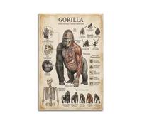 XKUGA Poster sur toile représentant le guide des animaux gorille pour enfants - Décoration murale moderne idéale pour famille, grotte d'hommes, salle de jeux, chambre de garçons et de filles - 40 x 60