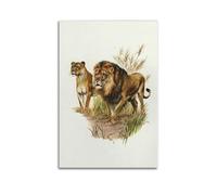 XKUGA Zoology Poster vintage sur toile avec lionne mâle et lion - Impression d'art moderne pour chambre à coucher - 30 x 45 cm
