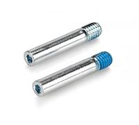 XLC BP-X02 Lot de 2 boulons de Fixation pour Adulte Argenté Taille Unique M4 x 22 mm