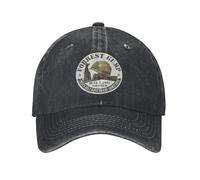 XLLDAANC Vintage Forrest Le De Gump Au Vietnam 1967 Casquettes de Baseball Unisexe en Détresse Lavé Casquette De Soleil Extérieur Ajusté Casquettes Chapeau Coton, pour Toutes Les Saisons
