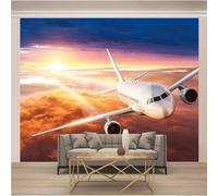 XLMING Avion Du Ciel Simple Esthétique Et Tridimensionnel 3D Papier Peint Luxe Décoration Manger Adulte Intérieure Salon Canapé Chambre Fond TV Mur-430cm×300cm