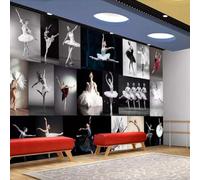 XLMING Beau Belle Ballet Salle De Danse Yoga 3D Papier Peint Texture Soyeuse Intissé Salle à Manger Bureau D'étude Canapé Chambre Salon TV Mur-250cm×170cm