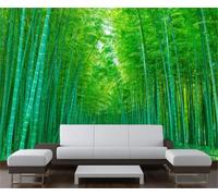 XLMING Chemin De Bambou Vert Frais Papier Peint 3D Soie Texturée Haut De Gamme Salon Canapé Chambre À Coucher Salle Manger Murale-300cm×210cm