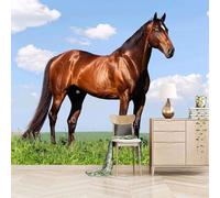 XLMING Ciel Bleu Nuages Blancs Animaux Chevaux Pelouse 3D Papier Peint Premium Texturé Soie Bureau Salle à Manger Salon Chambre Coucher Canapé TV Mur-430cm×300cm