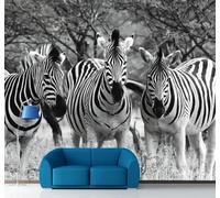 XLMING Créatif Noir Et Blanc Animaux Zèbre Forêt Papier Peint 3D Soie De Luxe Intissé Bureau Salle à Manger Canapé Chambre Salon TV Mural Décoratif-150cm×105cm
