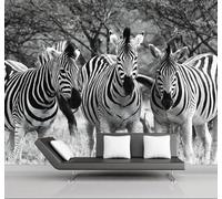 XLMING En Trois Dimensions Noir Et Blanc Forêt Zèbre Art 3D Papier Peint Luxe Décoration Manger Adulte Intérieure Salon Canapé Chambre Fond TV Mur-430cm×300cm
