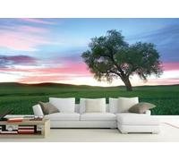 XLMING Éthéré Ciel Vert Arbres Prairie Papier Peint 3D Soie De Luxe Intissé Bureau Salle à Manger Canapé Chambre Salon TV Mural Décoratif-150cm×105cm