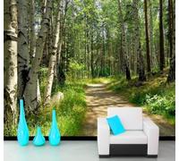 XLMING Frais Vert Forêt Sentier Paysage Naturel 3D Papier Peint Luxe Décoration Manger Adulte Intérieure Salon Canapé Chambre Fond TV Mur-400cm×280cm
