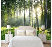XLMING Lumière Du Soleil Tridimensionnel Frais Vert Forêt 3D Papier Peint Premium Texturé Soie Bureau Salle à Manger Salon Chambre Coucher Canapé TV Mur-150cm×105cm