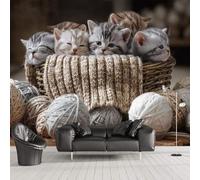 XLMING Mignon Petit Chat Boule Tricotée 3D Papier Peint Texture Soyeuse Intissé Salle à Manger Bureau D'étude Canapé Chambre Salon TV Mur-430cm×300cm