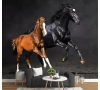 XLMING Minimaliste Dessin À La Main Artistique Élégant Cheval Noir 3D Papier Peint Texture Soyeuse Intissé Salle à Manger Bureau D'étude Canapé Chambre Salon TV Mur-430cm×300cm