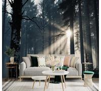 XLMING Papier Peint 3D Lever Du Soleil Lumière Du Matin Forêt Brume Paysage | Autocollants Décoratifs Haut de Gamme Adaptés à Tous les Murs Des Restaurants Canapés Salons et Chambres Coucher-150cm×105cm