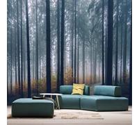 XLMING Paysage Minimaliste En Trois Dimensions Représentant Un Sentier Forestier 3D Papier Peint Texture Soyeuse Intissé Salle à Manger Bureau D'étude Canapé Chambre Salon TV Mur-400cm×280cm