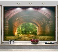 XLMING Rétro Tridimensionnel Tunnel Vert Forêt 3D Papier Peint Texture Soyeuse Intissé Salle à Manger Bureau D'étude Canapé Chambre Salon TV Mur-430cm×300cm