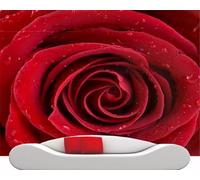 XLMING Roses Rouges Romantiques Simples En Trois Dimensions Papier Peint 3D Soie Texturée Haut De Gamme Salon Canapé Chambre À Coucher Salle Manger Murale-350cm×256cm