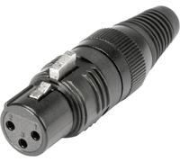 XLR femelle, droit Hicon HI-X3CF-G Nombre de pôles: 3 noir 1 pc(s)