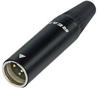 XLR miniature mâle, droit Rean AV RT5MC-B Nombre de pôles: 5 noir 1 pc(s)