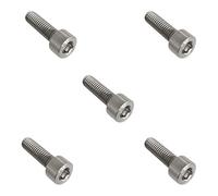 XLWLLNJ 5 Pièces Vis Titane Tête Bouton Hex Cap Socket Cap Allen Boulons Résistance à La Léger Fonction Adapté pour Organisation de Maison Projet DI, M4 * 20 mm