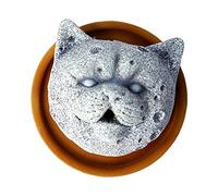 XLWLLNJ Porte-brûleur D'encens En Résine, Support Anti-reflux pour Aromathérapie, Idéal pour Halloween, Fait Main, Parfait pour La Chambre Ou Le Bureau, Moule Léopard Gris