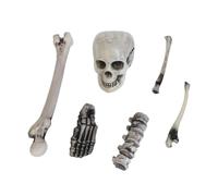 Xm 6 Pièces/Ensemble En Plastique Squelette Statues Accessoire Faux Os Sac D'os Pour Halloween Maison Hantée Artisanat Décoratif De Haute Qualité A3