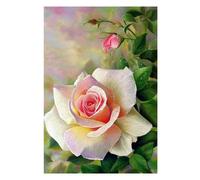 Xm Broderie De Croix En Diamant Blanc Rose Broderie Diamant Point De Croix Blanc Point De Croix Perceuse Ronde Pour Décoration Cadeau