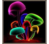 Xm Coloré Champignon 5d Diamant Peinture Ensemble Complet Strass Image Art Artisanat Kit Bricolage Point De Croix Décoration