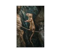 XMHMYHZJ Décoration murale moderne à suspendre avec inscription « A Weasel Balances on A Tightrope Stretched Across A Ravine, Arms Open Like A Circus Pro » (60 x 90 cm)