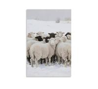 XMHMYHZJ Mouton se blottissant ensemble, laine blanche comme neige art mural décoration murale moderne à suspendre affiche 60 x 90 cm