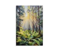 XMHMYHZJ Une clairière de la forêt cachée, un chef-d'œuvre d'huile de rayons de soleil et de fougères de rosée Décoration murale moderne à suspendre Affiche d'art 60 x 90 cm