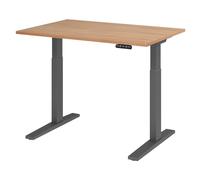 XMKA 12 G | Bureau - 120 x 80 Noyer réglable en hauteur électriquement