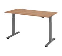 XMST 16 G | 160x80 | Bureau réglable en hauteur électriquement - 160 x 80 Noyer réglable en hauteur électriquement