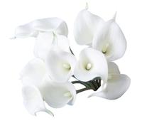 Xnuiasqe 12pcs Calla Simulation Fleur Artificielle Décoration de - Blanc