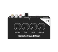 Xnuiasqe Amplificateur de Mixage Audio Professionnel avec Ports D'Entrée pour Deux Micros, Mixeur de Son Karaoké Portable avec Câble à Prise EU.