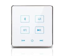Xnuiasqe Amplificateur Mural Bluetooth pour Cinéma Maison Système Audio de Fond pour Prise en Charge de la Carte USB TF (Blanc) 1 Ensemble