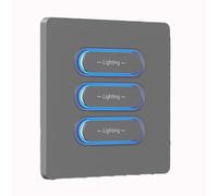 Xnuiasqe Interrupteur à Bouton Intelligent Tuya Zigbee à Double Commande, Commande Multiple, Télécommande Vocale et Horaire pour Connectée, 3 Boutons