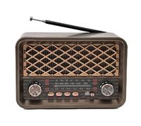 Xnuiasqe Radio Portable Classique avec Bluetooth - Haut-Parleur sans Éclairé par LED, Prend en Charge Les Bandes FM/AM/SW et Les Entrées AUX/USB/TF