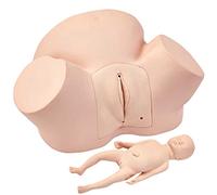 XNYXLPP Modèle d'enseignement, simulateur d'accouchement, matériel éducatif pour l'accouchement Grandeur Nature avec modèle fœtal + modèle d'accouchement à Largeur de cavité pelvienne réglable