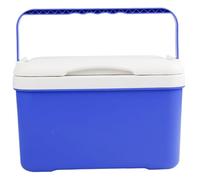 Xoeryoy Glacière d'une capacité de 6 litres, Petite glacière Portable Rigide avec poignée pivotante à 110° Garde Le Contenu au Frais ou au Chaud, idéale pour Le Camping, la Plage, Le Pique-Nique, l