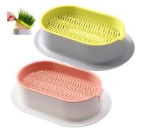 Xoeryoy Jardinière d'herbe à Chat, kit de Culture hydroponique d'herbe à Chat de 2 Paquets avec Drainage, Pot 'intérieur Facile cultiver pour Chats et Petits Animaux Compagnie (sans graines) ;1