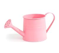 Xoeryoy Petit arrosoir, arrosoir en métal en Fer avec Bec en Maille, Pot de Plante de Style Vintage décoratif et Fonctionnel pour Fleurs et Plantes