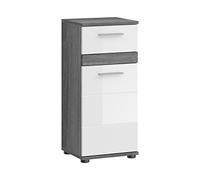 xonox.home Blake - Commode de Salle de Bain - Armoire étroite - Avant - Blanc Brillant - Corps argenté fumé - Environ 35 x 79 x 31 cm