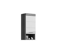 xonox.home Scout Armoire Murale de Salle de Bain à Suspendre, étroite, façade Blanche, Corps argenté fumé, env. 37 x 79 x 24 cm