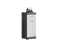 xonox.home Scout X06B2701 Commode étroite Armoire sur Pied pour Salle de Bain Blanc Brillant Corps argenté fumé Env. 37 x 88 x 31 cm