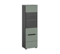 xonox.Home - Vitrine Canu 36 x 125 x 33 cm dans Le Corps en Basalte Gris NB. et façade Smoke Green NB. - Vitrine décorative en Verre - Armoire de Rangement Moderne et Peu encombrante